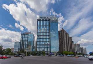 硚口区高产苗木种子经验丰富