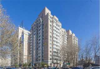 四季常青草坪多少钱一平米