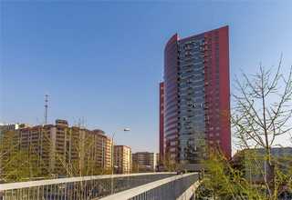 上海弹簧振动盘销售